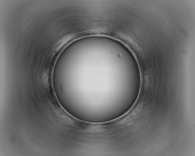 X0000111841162200907301044