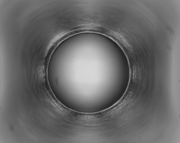 X0000111841164200907301044