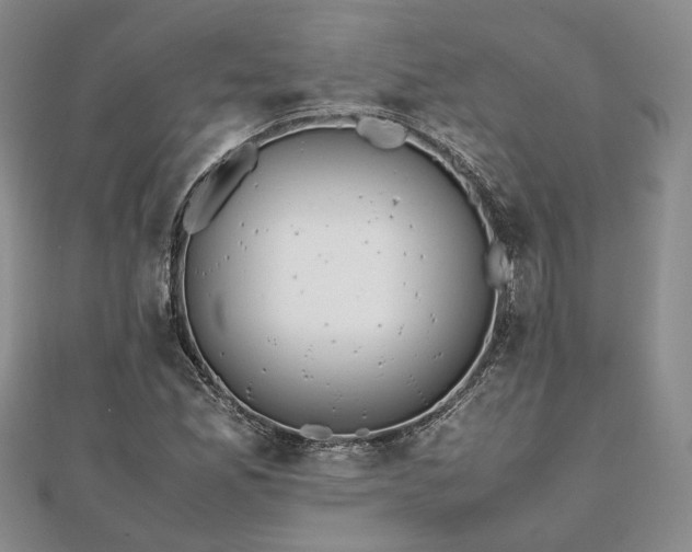 X0000111841165200907301044