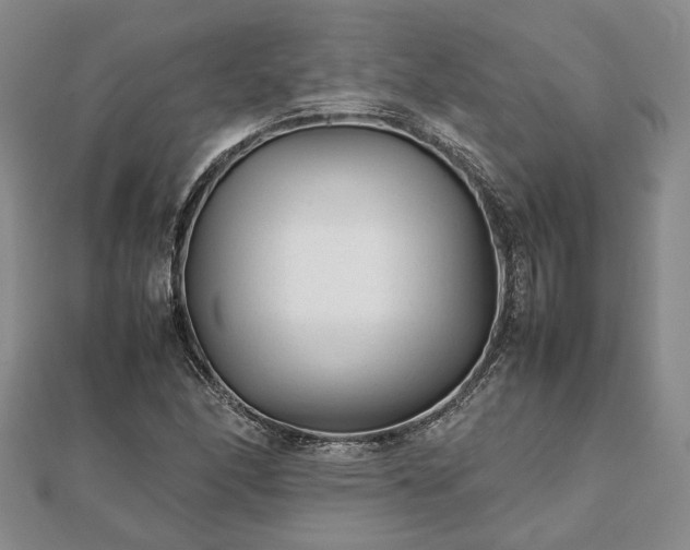 X0000111841166200907301044