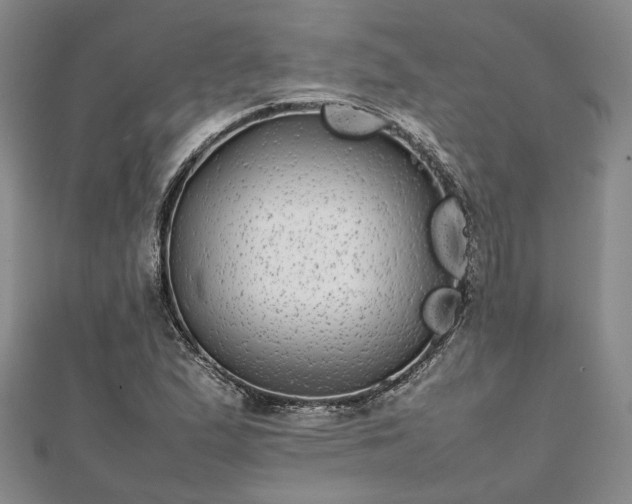 X0000111841167200907301044