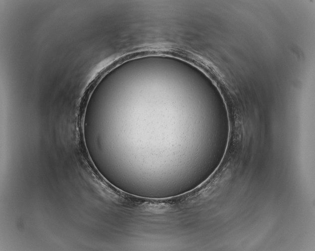 X0000111841168200907301044