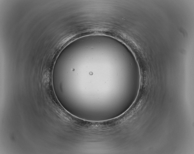 X0000111841169200907301044