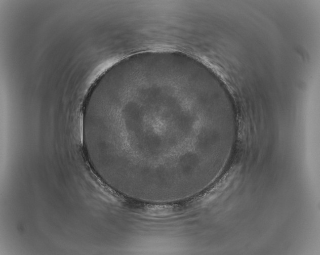 X0000111841171200907301044