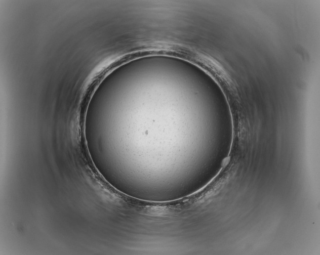 X0000111841172200907301044