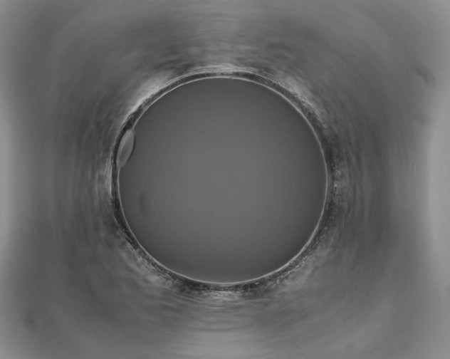 X0000111841173200907301044