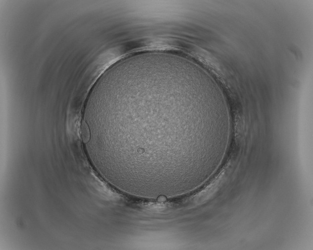 X0000111841177200907301044