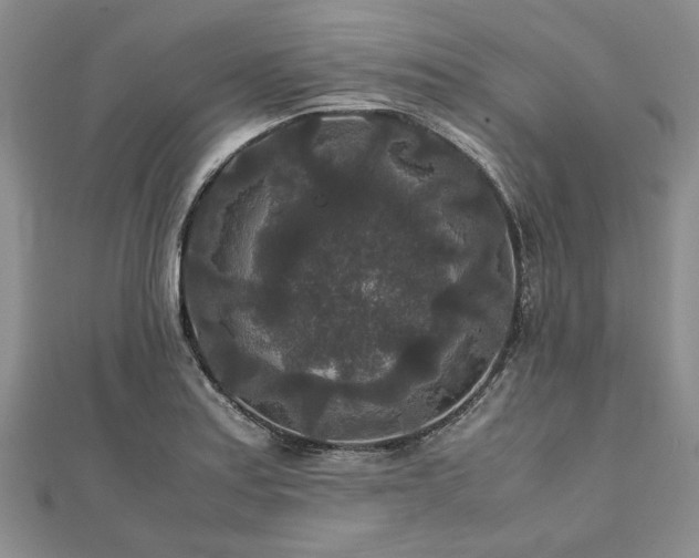 X0000111841179200907301044