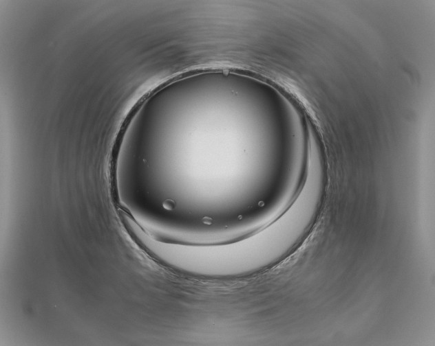 X0000111841181200907301043