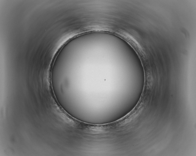 X0000111841182200907301043