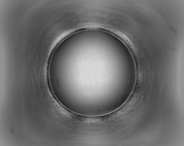 X0000111841183200907301043