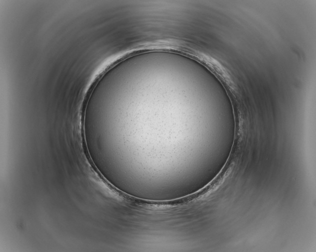 X0000111841184200907301043