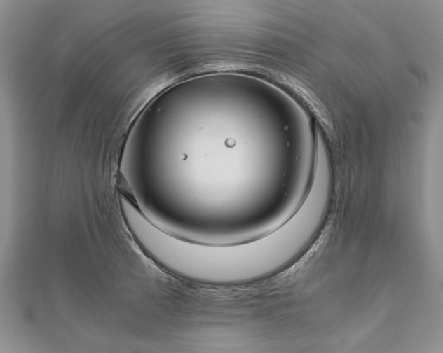 X0000111841185200907301043