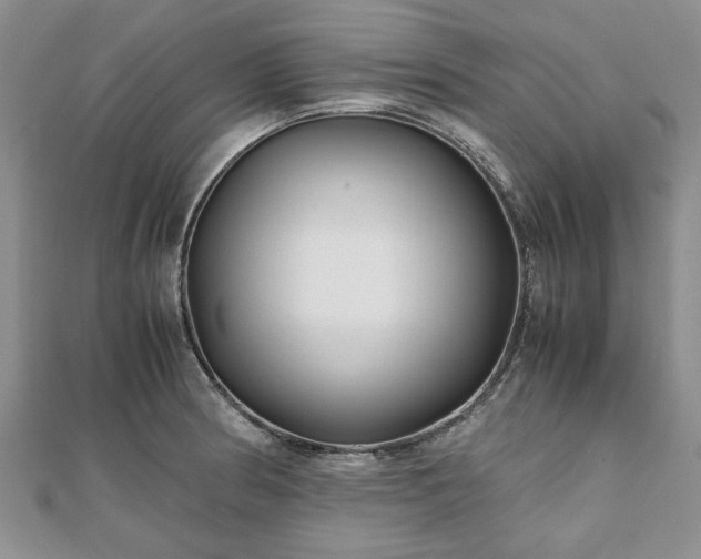 X0000111841186200907301043