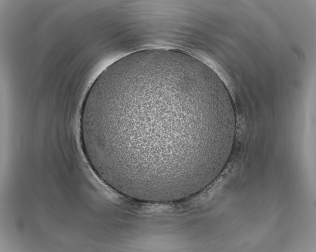 X0000111841187200907301043