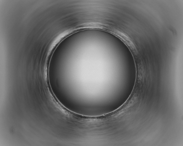 X0000111841188200907301043