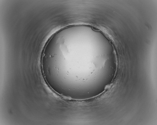 X0000111841189200907301043