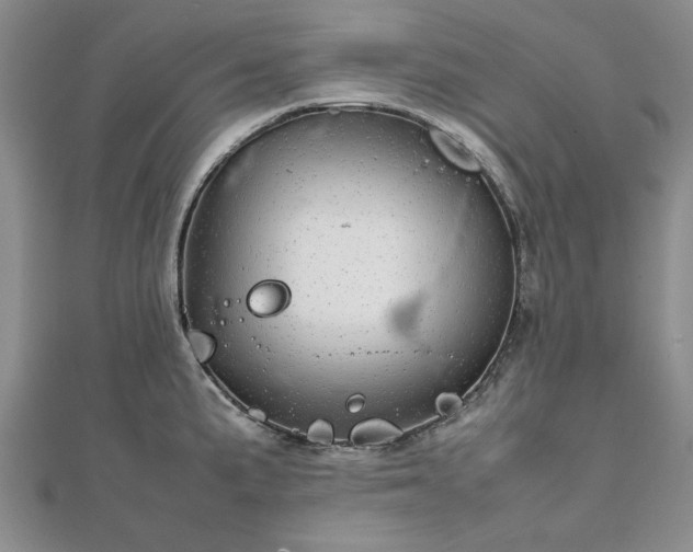 X0000111841191200907301043