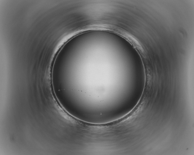 X0000111841192200907301043