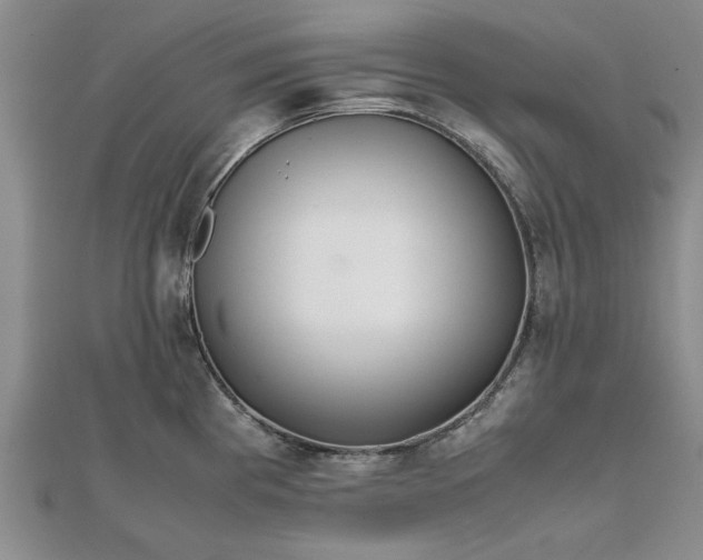 X0000111841193200907301043