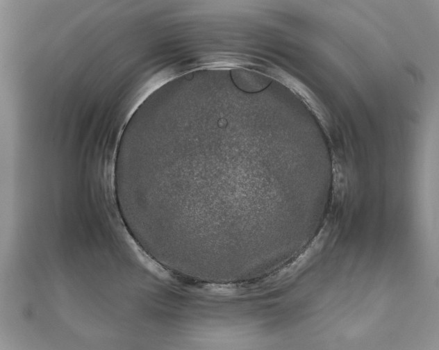 X0000111841194200907301043