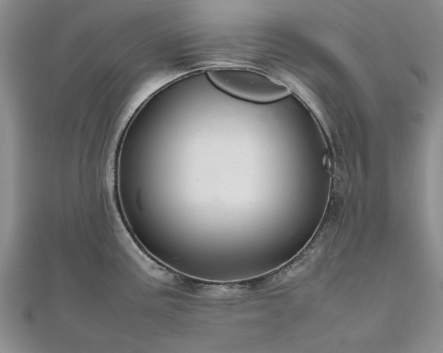 X0000111841195200907301043