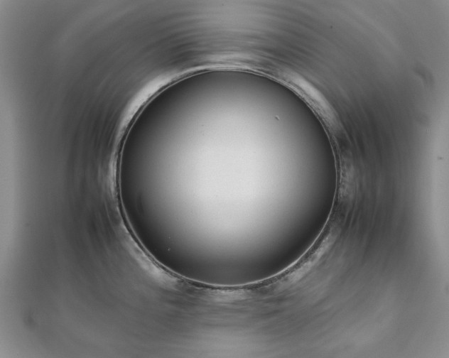 X0000111841196200907301043