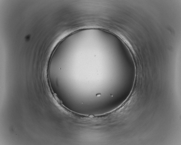 X0000111841197200907301043