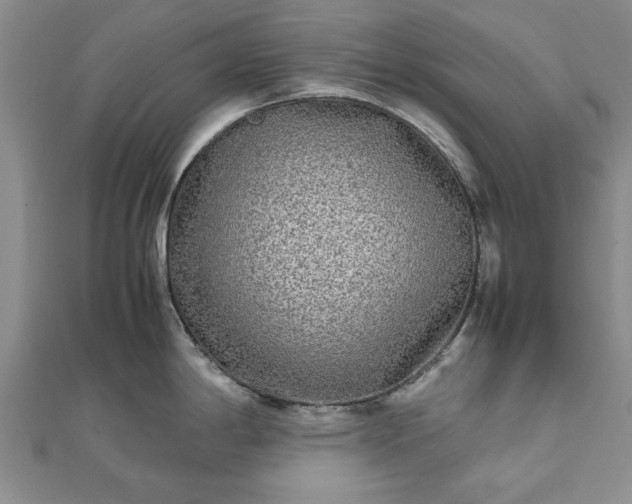 X0000111841198200907301043