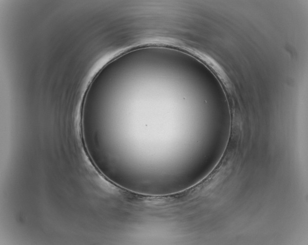 X0000111841199200907301043