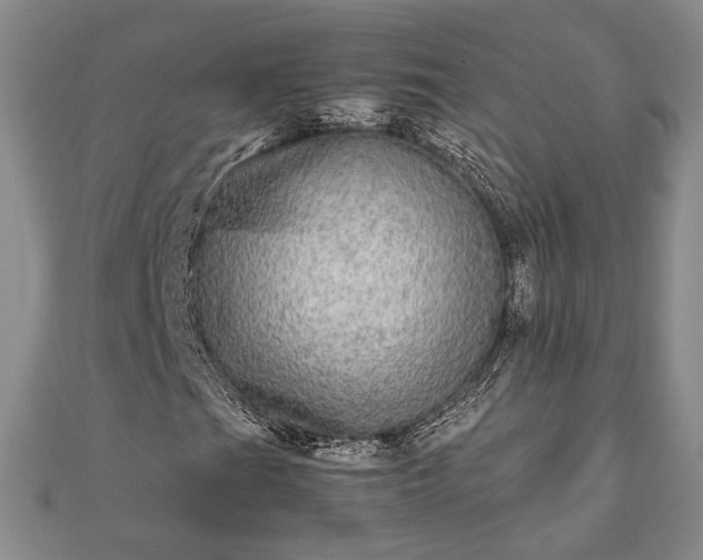 X0000111841201200907301042