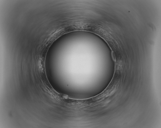 X0000111841202200907301042