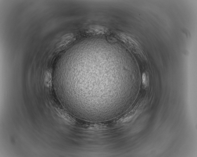 X0000111841203200907301042