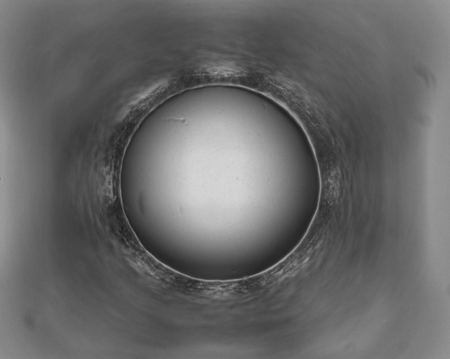 X0000111841205200907301043