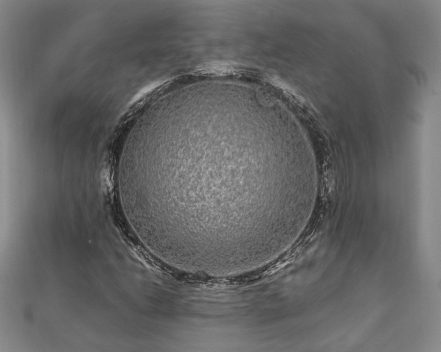 X0000111841206200907301043