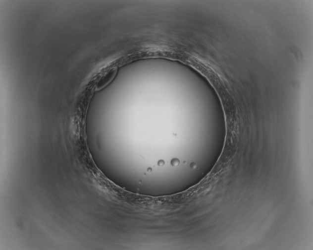 X0000111841207200907301043