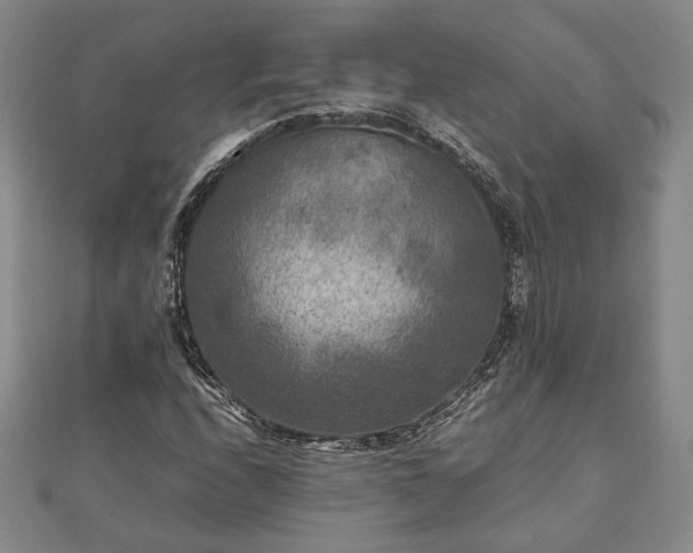 X0000111841208200907301043