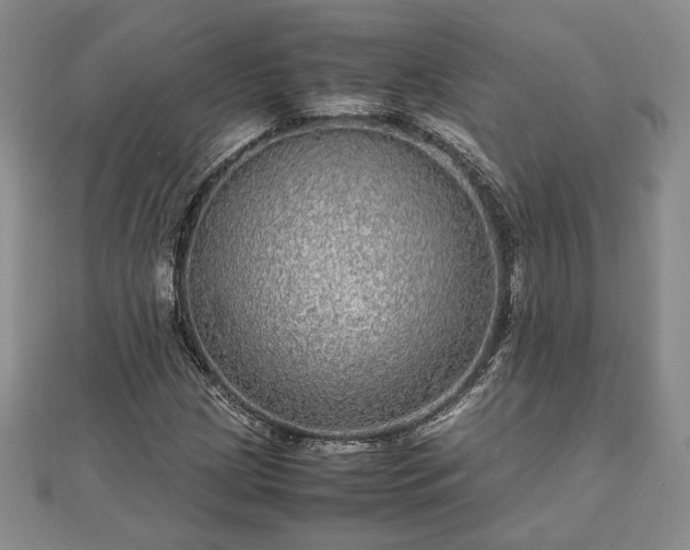 X0000111841209200907301043