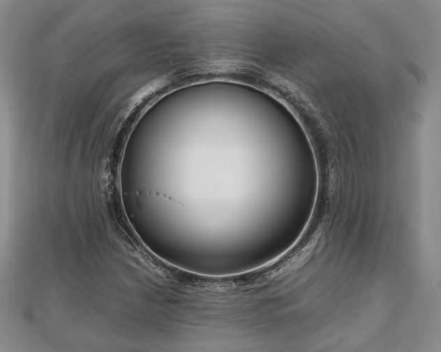 X0000111841210200907301043