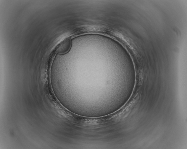 X0000111841211200907301043