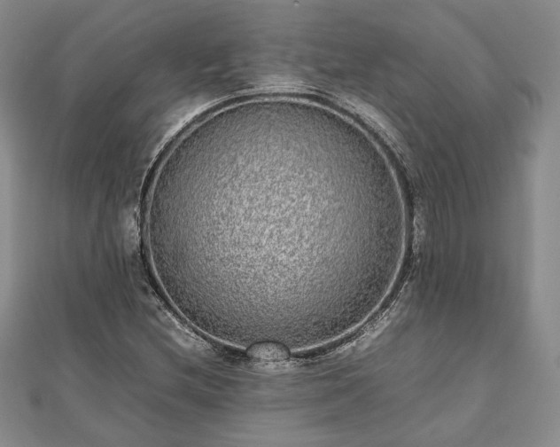 X0000111841212200907301043