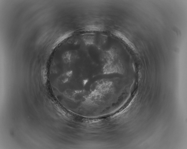 X0000111841213200907301043