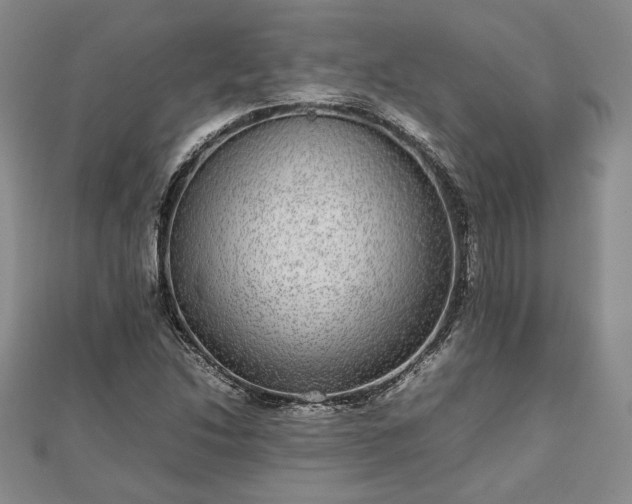 X0000111841214200907301043