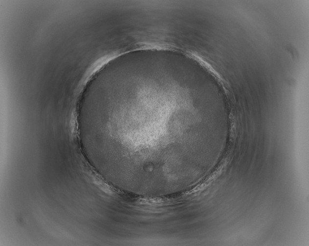 X0000111841215200907301043