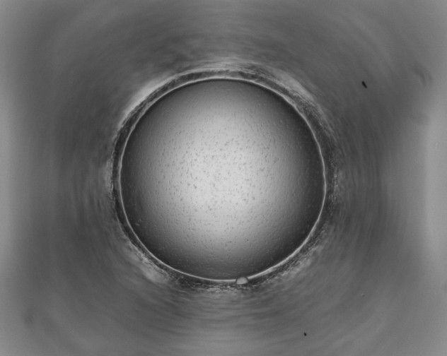 X0000111841216200907301043