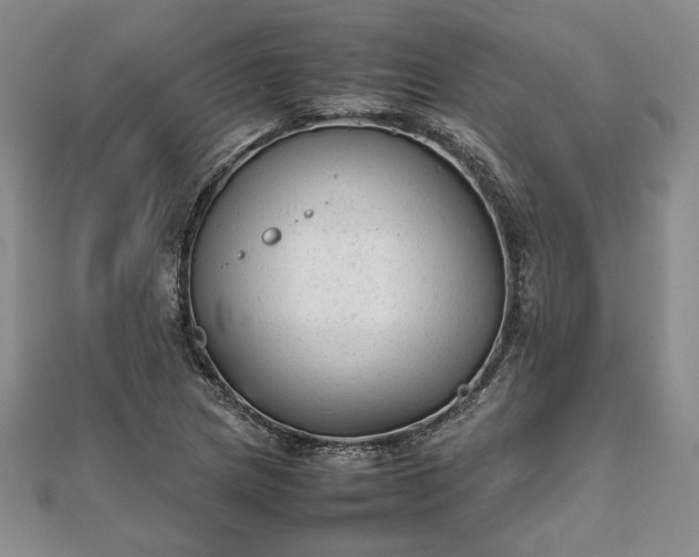 X0000111841217200907301043