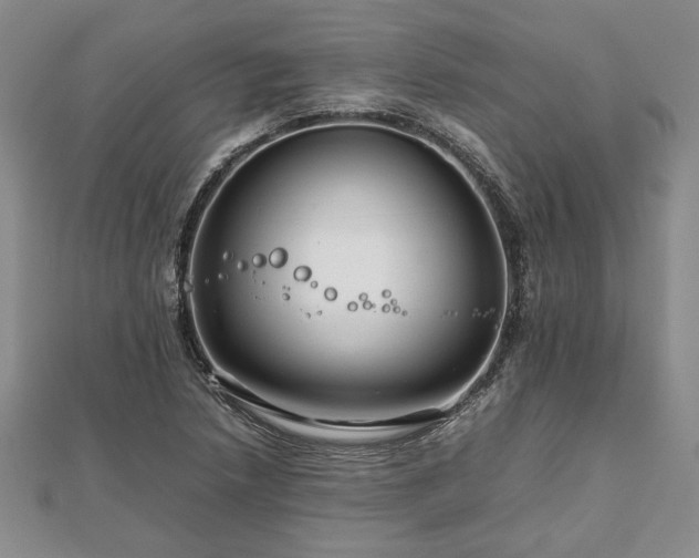 X0000111841218200907301043