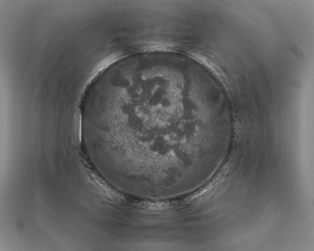 X0000111841219200907301043