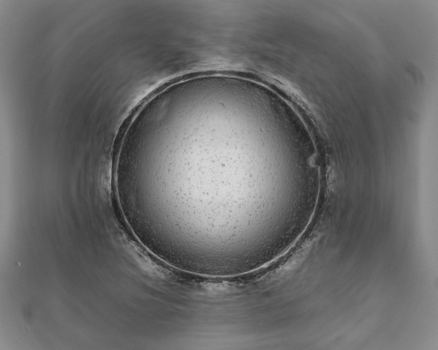 X0000111841220200907301043