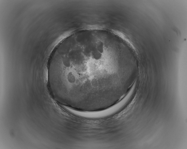 X0000111841221200907301043